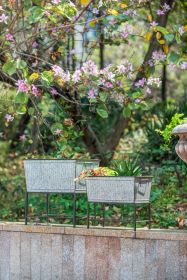 Set of 2 Zale Rustic Metal Planters with Stands, L:20x12x19.5" S:16.5x9.5x14.5"